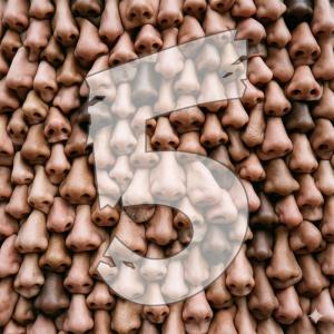 Smells episode artwork